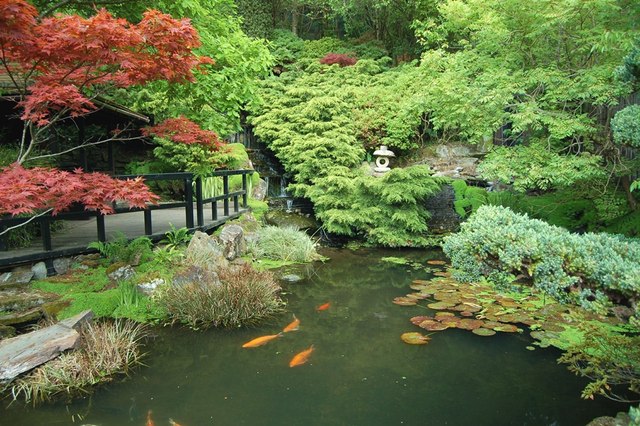 The Japanese Garden in Cornwall