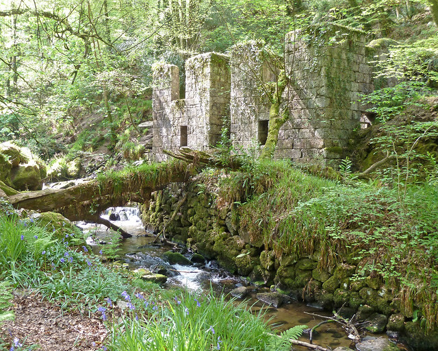 Abandoned Gunpowder Factory, Kennall Vale Wildlife Reserve, near Truro