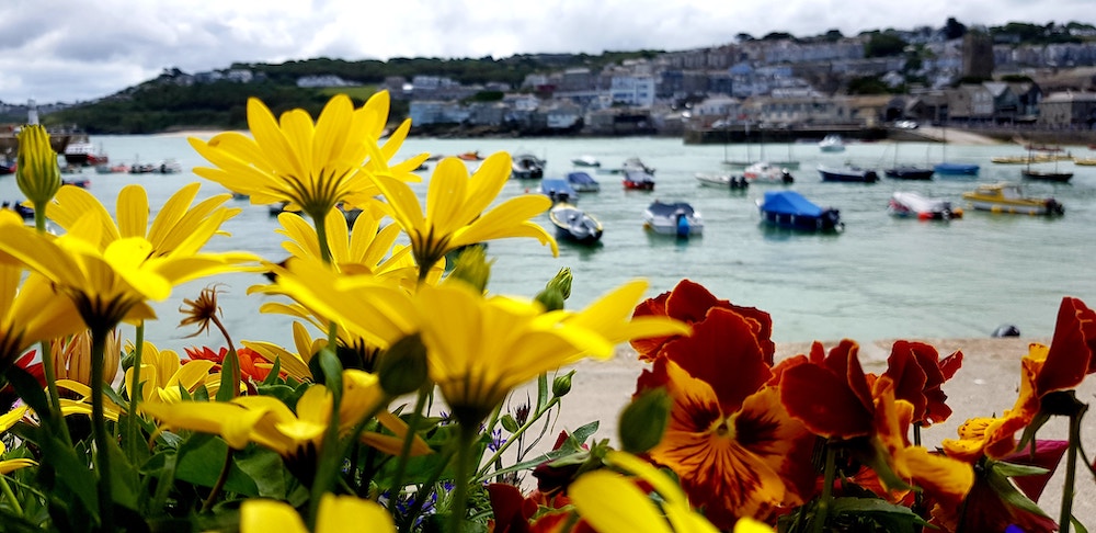 A close-up shot of some flowers near the sea with boats