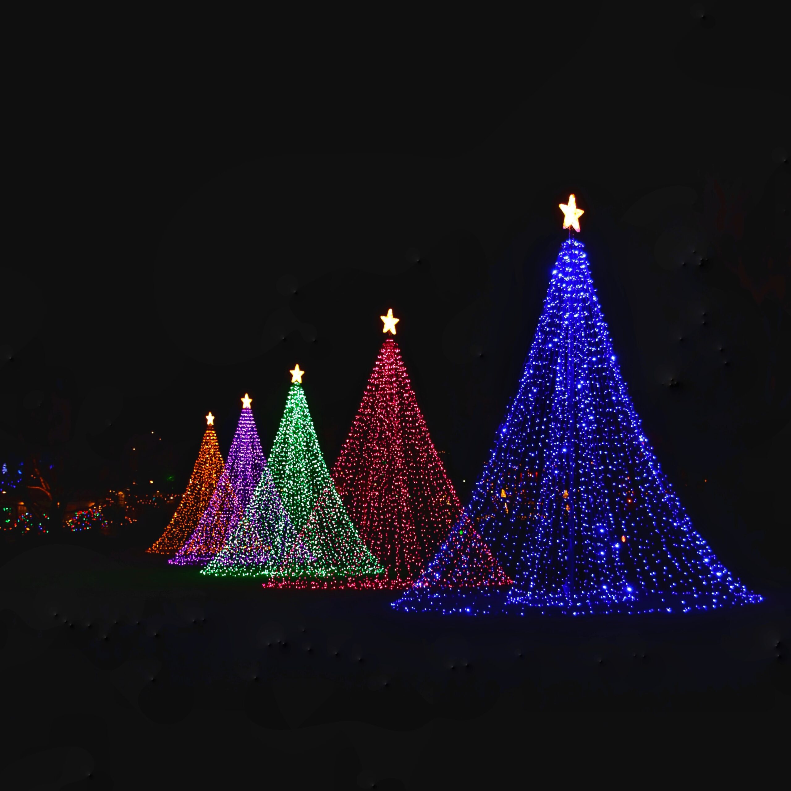 christmas light display