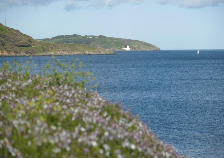 A view of the sea outside Falmouth