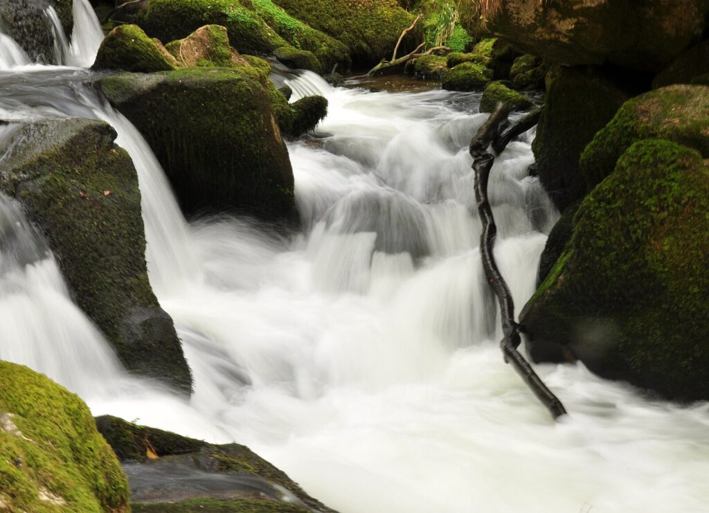 The waters at Golitha Fallls