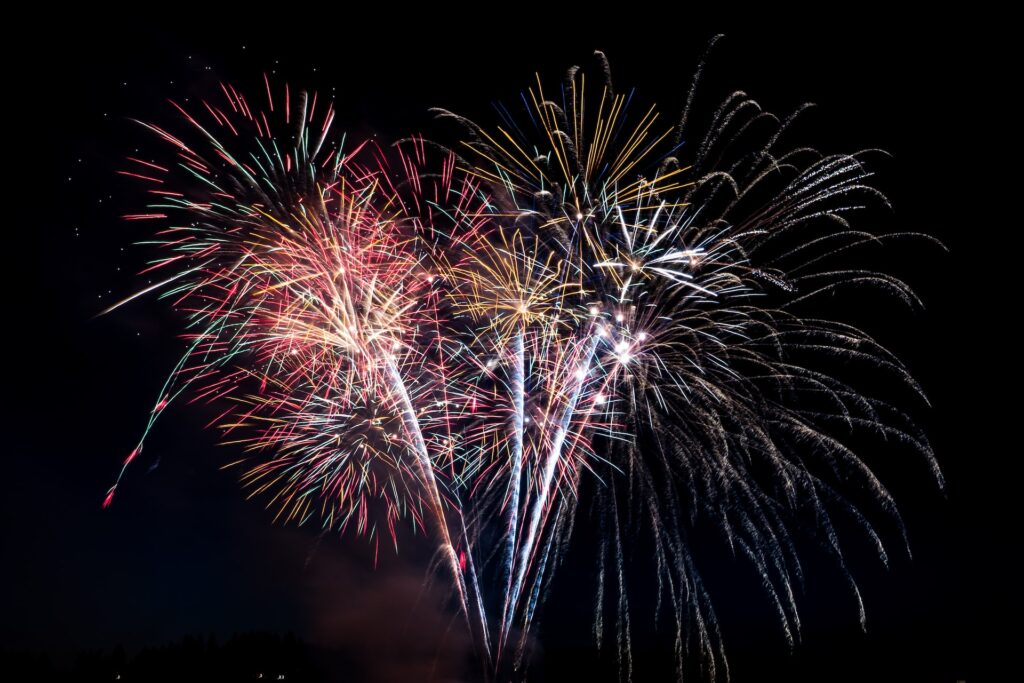 Fireworks against a night sky