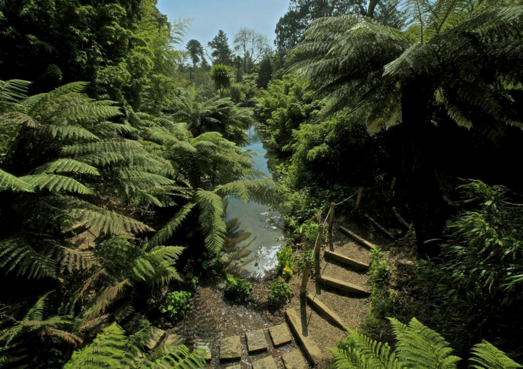 The Lost Gardens of Heligan