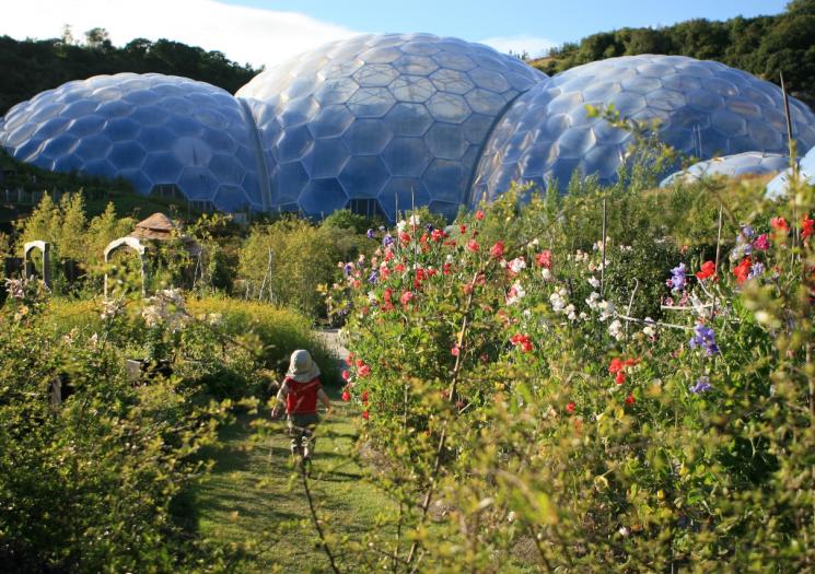 A child walking through the outdoor garden at the Eden Project