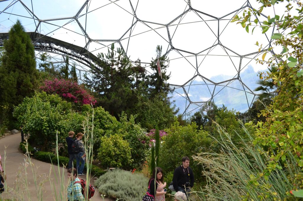 The inside of an Eden Project biome 