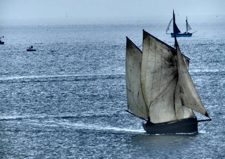 Lugger at Looe Lugger Regatta