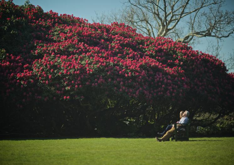 A couple sat on a bench at the Lost Gardens of Heligan