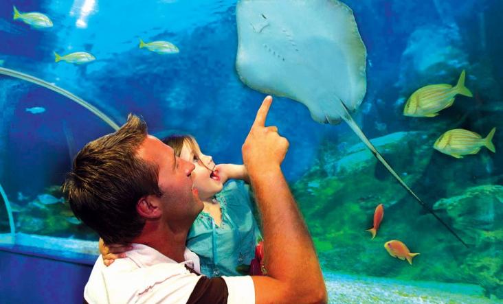 A parent and child looking at fish in an underwater tunnel